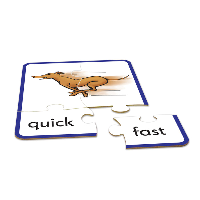 Junior Learning JRL241 Synonym Puzzles
