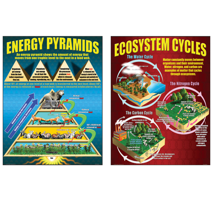 Ecosystem Model Poster McDonald Publishing MC-P059 Ecosystems Posters, Set of 4 — CW Outlet ...