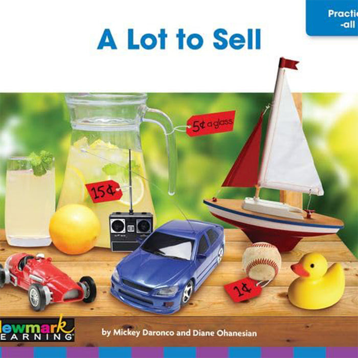 Newmark Learning NL-6837 Decodable Readers Fluency Grade 1-2 Long and Complex Vowels, 13 Books