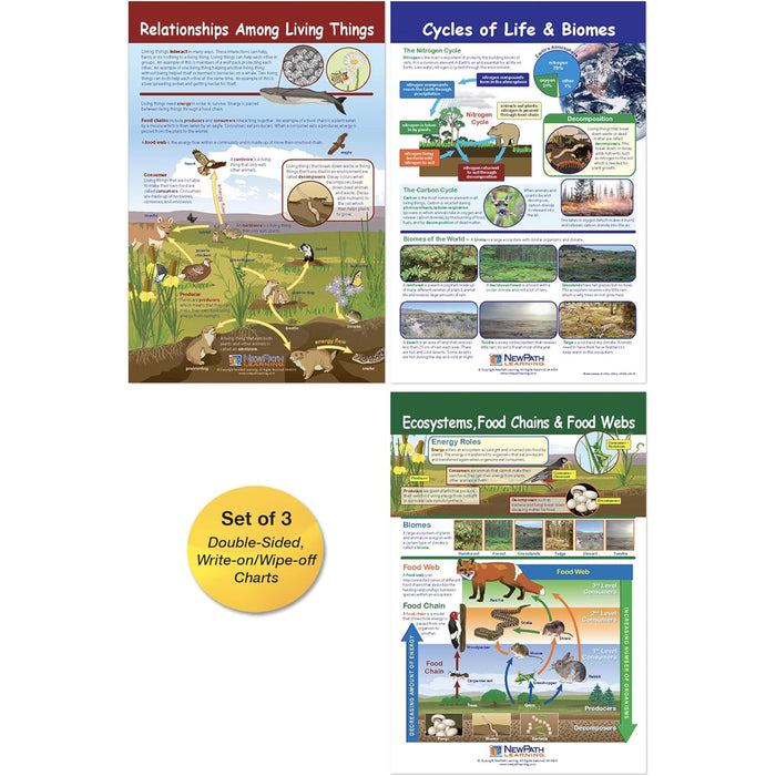 NewPath Learning NP-947007 Ecology Bulletin Board Chart Set, Grades 3-5
