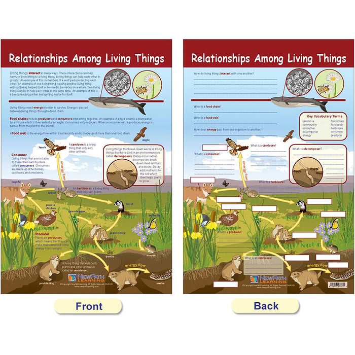 NewPath Learning NP-947007 Ecology Bulletin Board Chart Set, Grades 3-5
