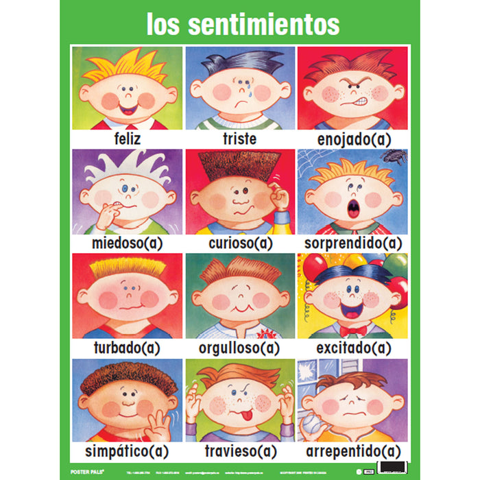 Poster Pals PSZPS37 Spanish Essential Classroom Posters Set I