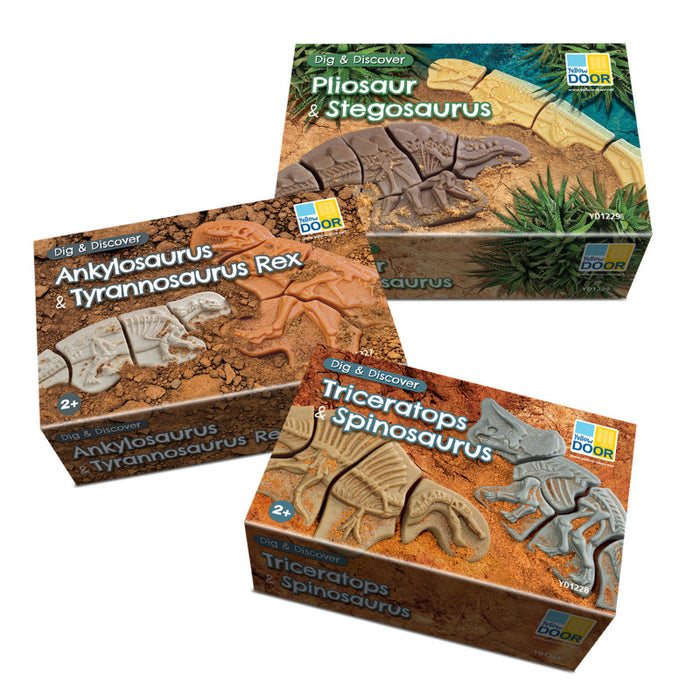 Yellow Door YUS1230 Dig and Discover - Dinosaur Pack
